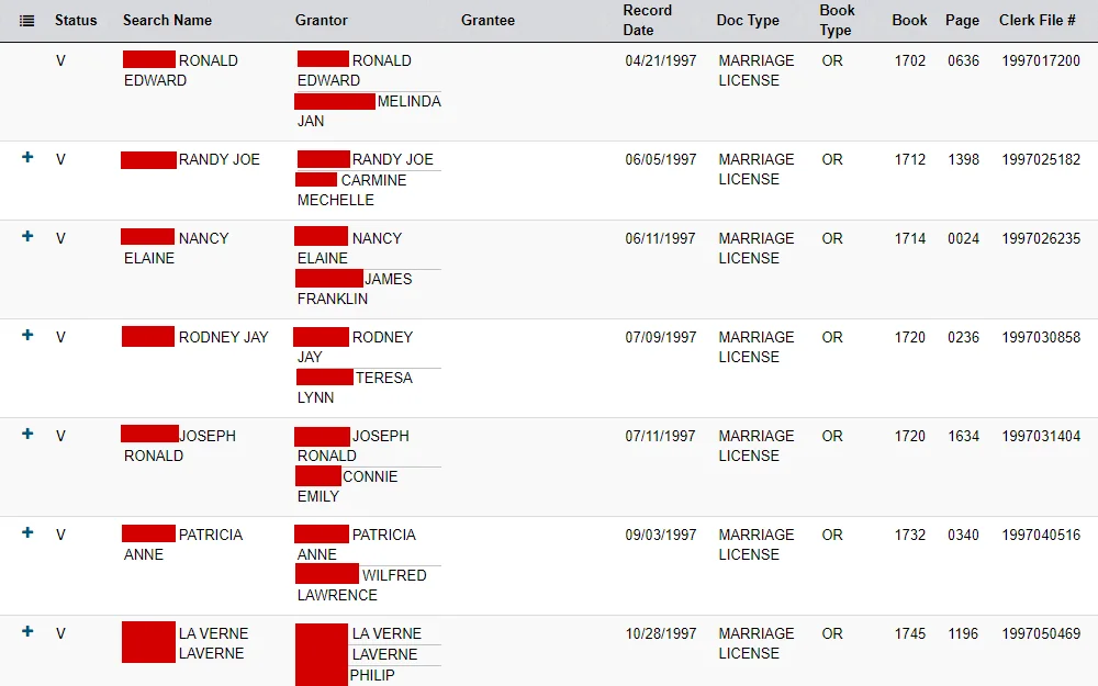 Screenshot of the results of the search for license of marriage displaying both parties names, record date, and document details.