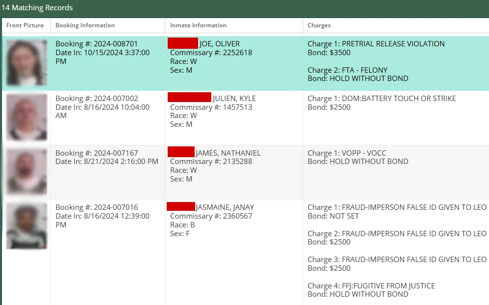 A screenshot of a sample result from an inmate search provided by the Bay County Sheriff's Office showing the matching records' mugshots, booking information, inmate information, and charges.